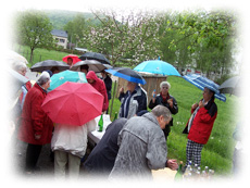 Buffet im Regen Buffet im Regen