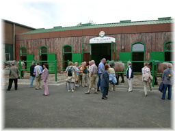 Pferdestall der Brauerei