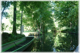 Spreewald