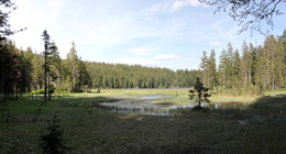 Großer Arbersee