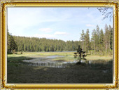 Ausflug in den Bayrischen Wald 2010