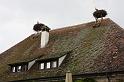 IMG_1905